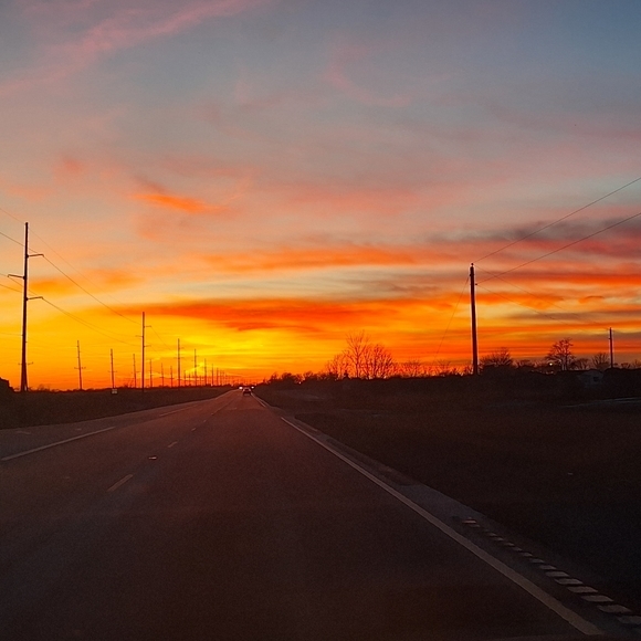 Meet your Posher, Amber - Picture 5 of 6